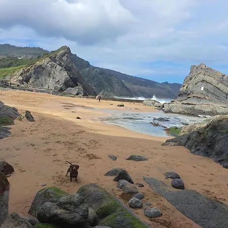 Con Entrada Independiente Apartment *