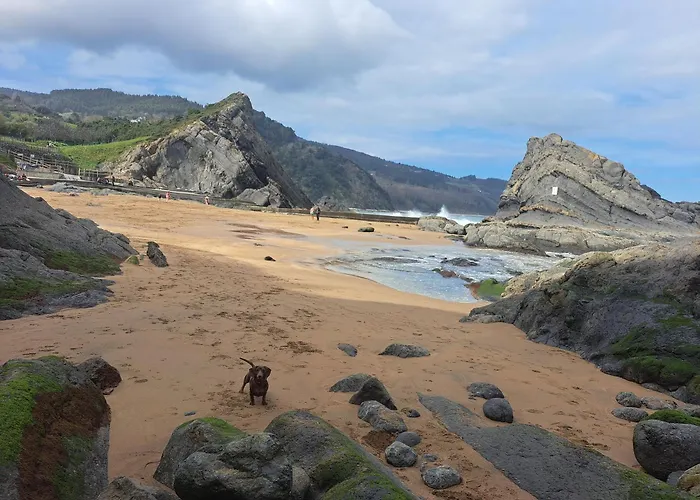 Con Entrada Independiente Apartment *